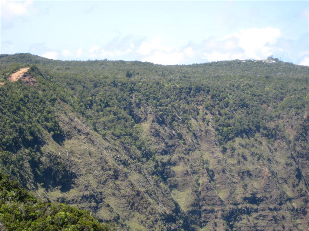 That's where we started!