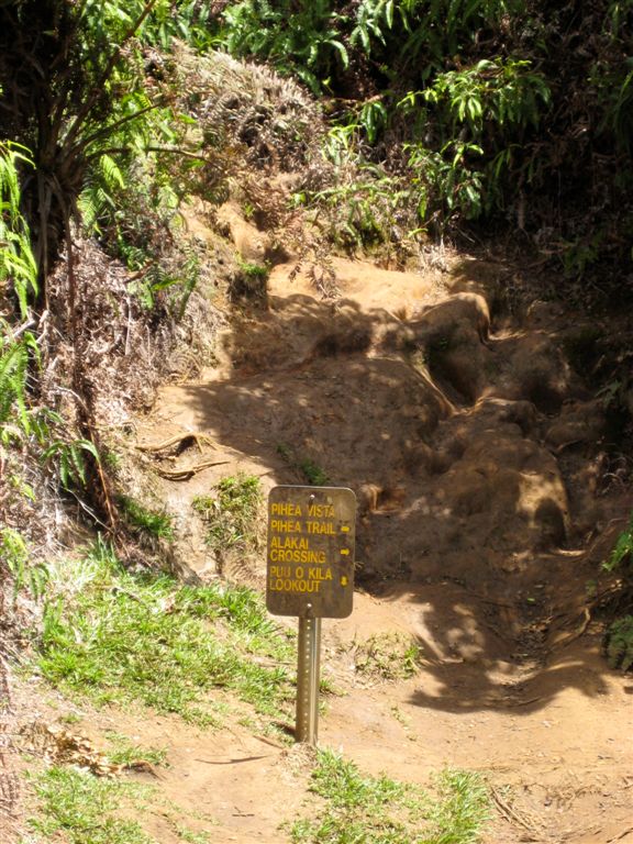 As you can see the vista was straight ahead, straight up!