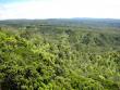 Looking the other way towards the head marshes of the Waimea Canyon