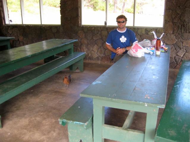 Lunch time with another rooster...