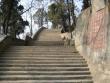 Back on the stairs. Calligraphy everywhere.