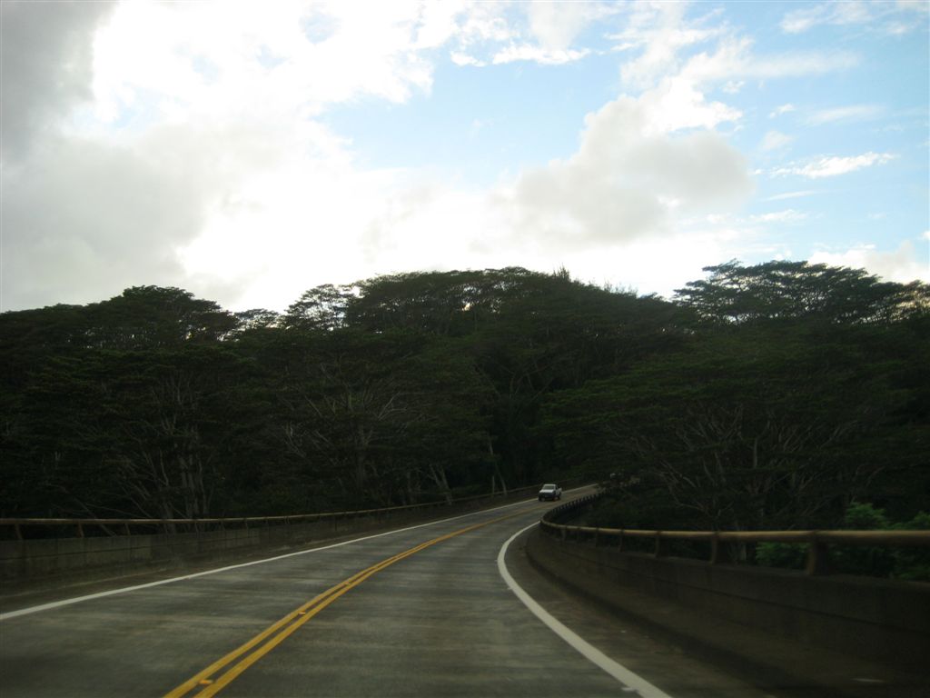 Awesome highway bridge