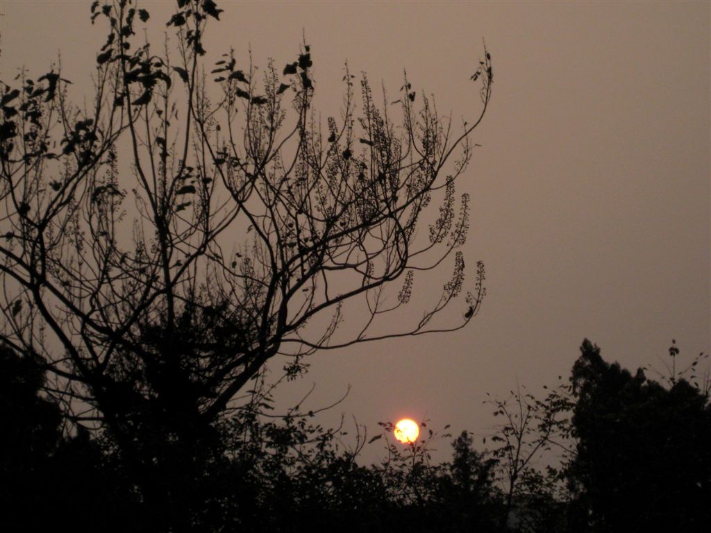 Setting sun