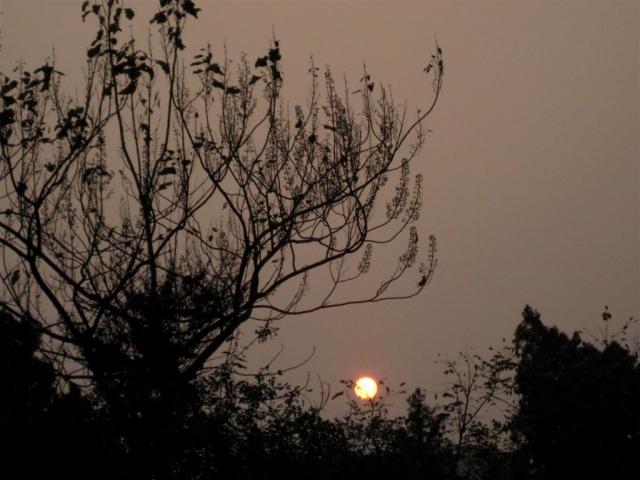 Setting sun