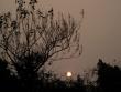 Setting sun