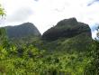 Looking up from the valley