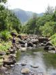 Looking upstream in the valley