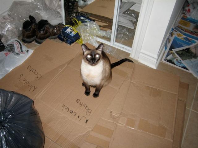 Honey didn't want us to go... :(