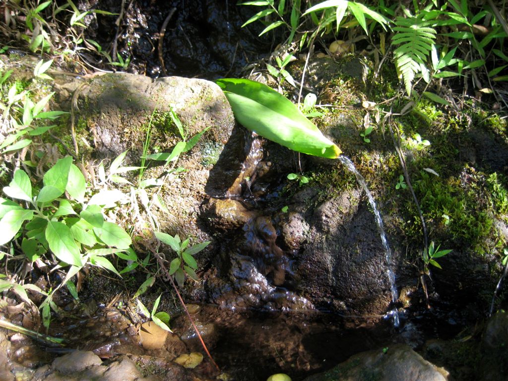 Natural fountain