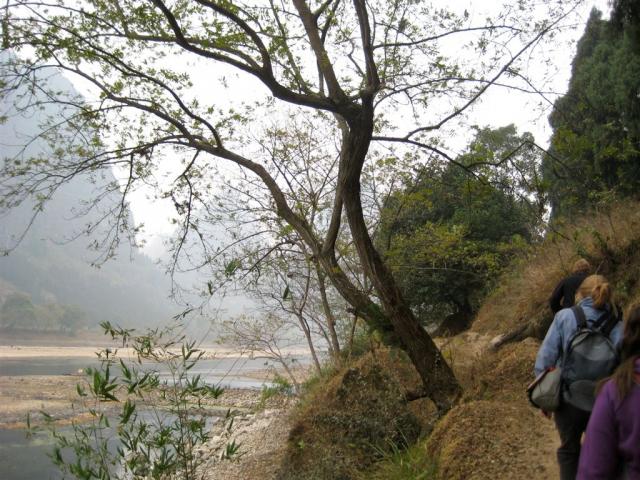 IMG_8363