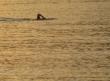 Deep Water Bay Beach