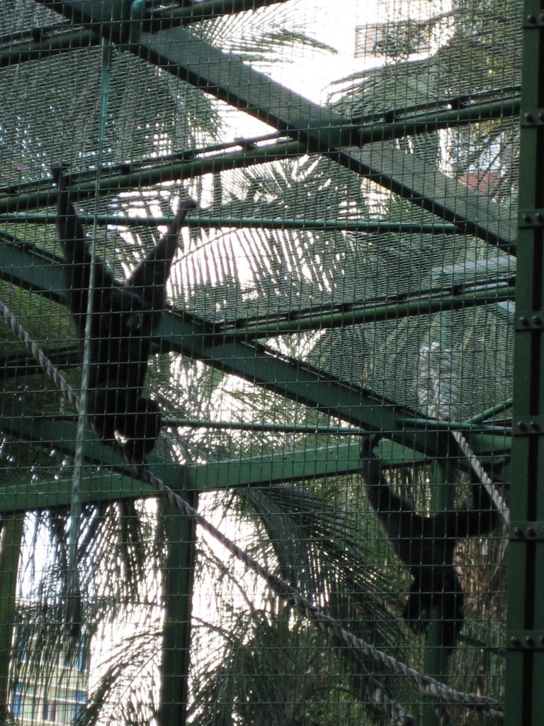 HK Zoological gardens