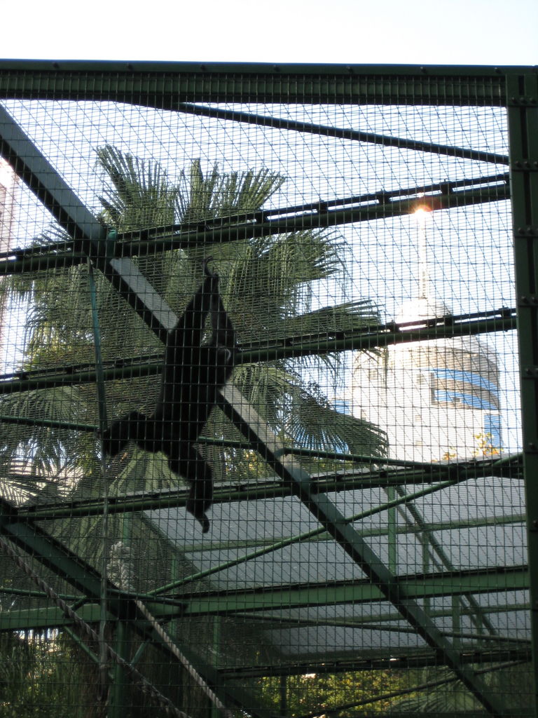 HK Zoological gardens