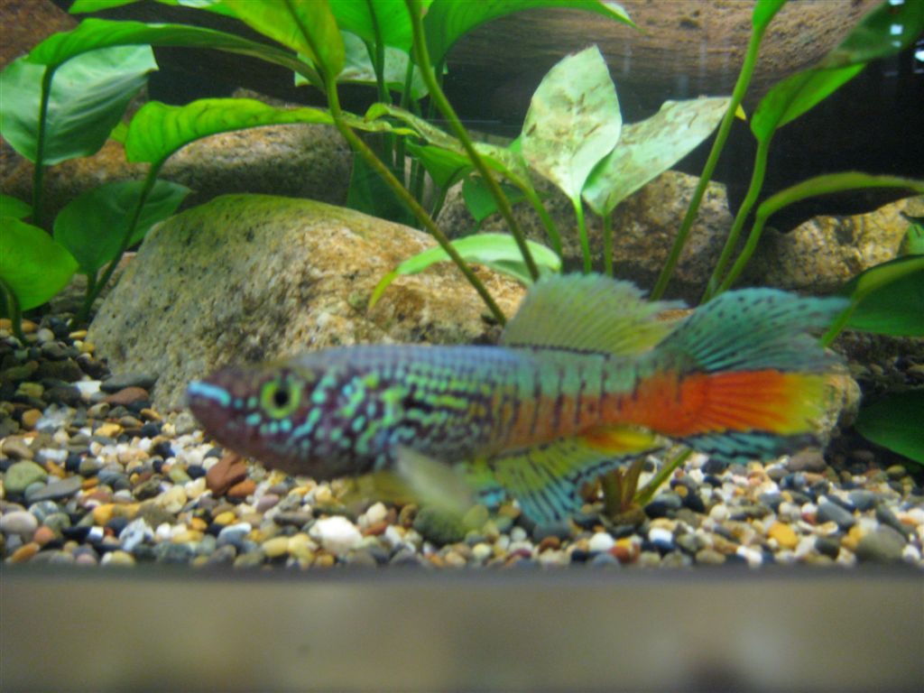 Cool colours