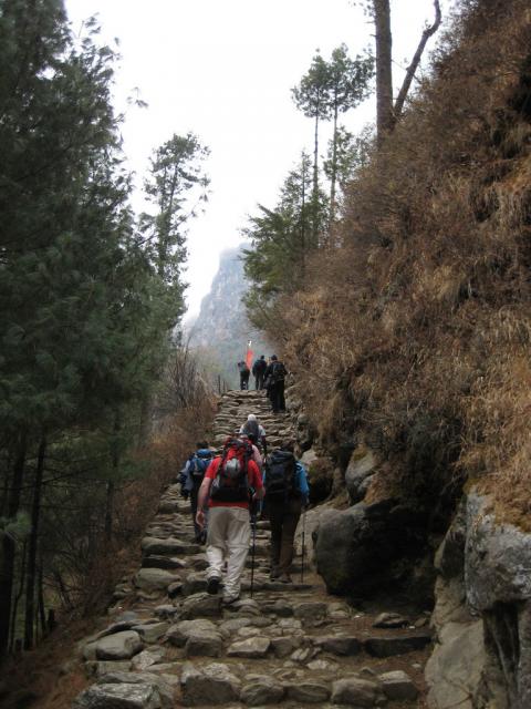 The odd steps here and there