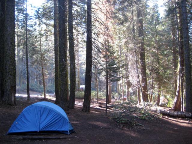 Very nice campsite