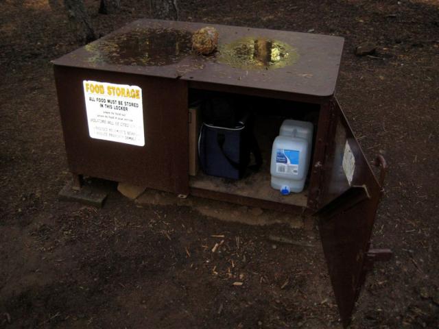 Bear bin