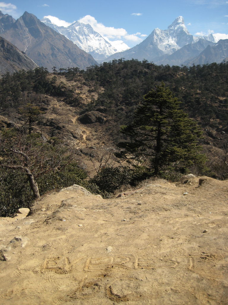 IMG_4429.JPG