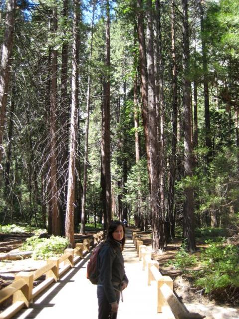 Path to Yosemite Falls
