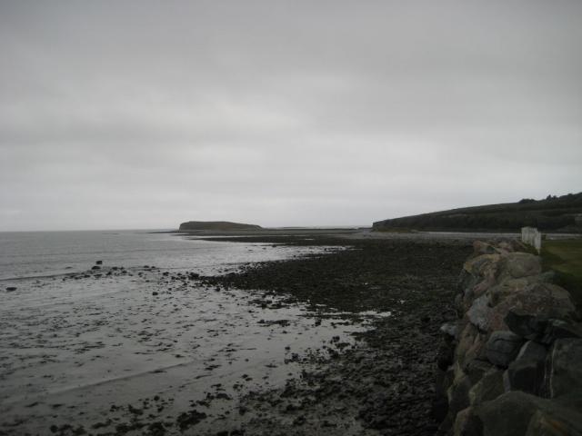 IMG_5061.JPG