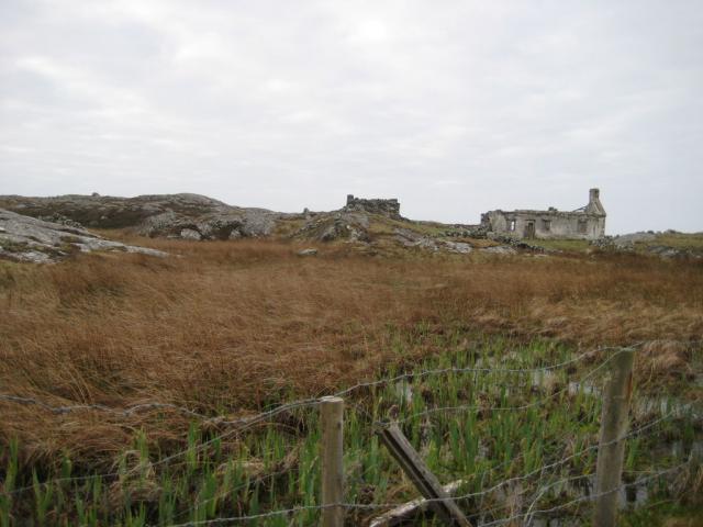 IMG_5080.JPG