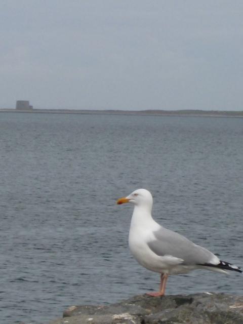 IMG_5104.JPG