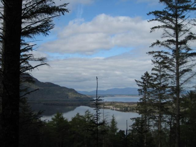 IMG_5206.JPG