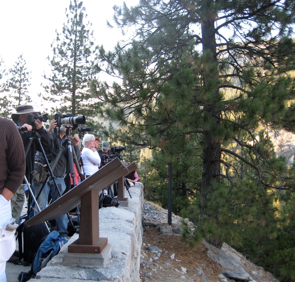 Hords of photographers
