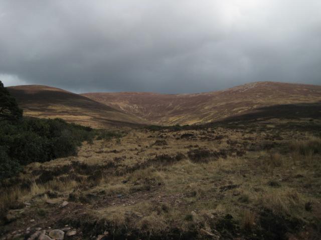IMG_5345.JPG