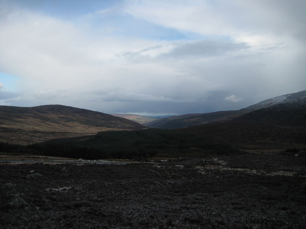 IMG_5468.JPG