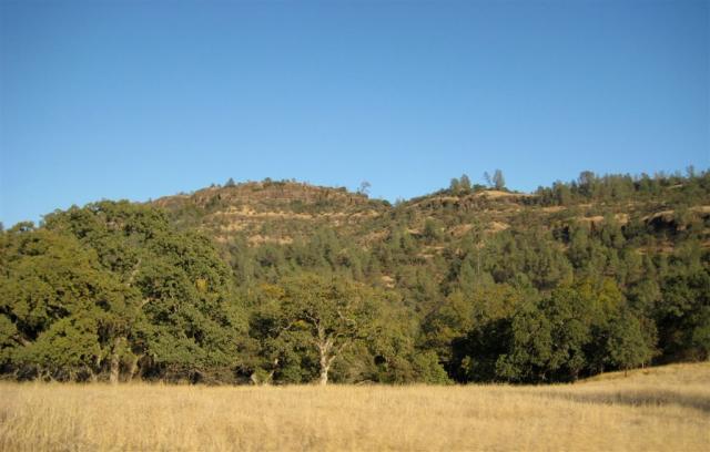 Hills in Bidwell Park