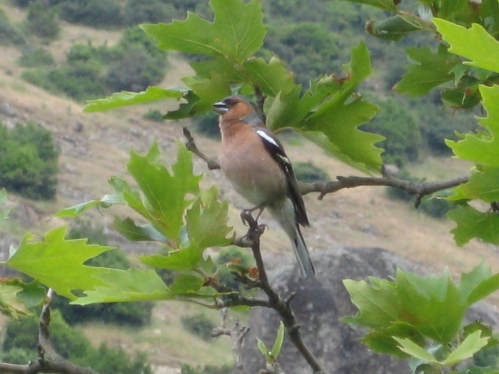 IMG_6758.JPG
