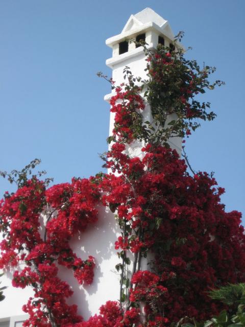 IMG_6966.JPG