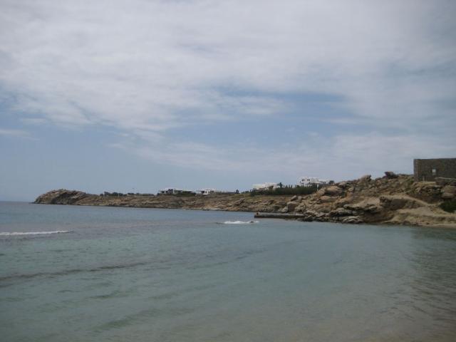 IMG_7013.JPG