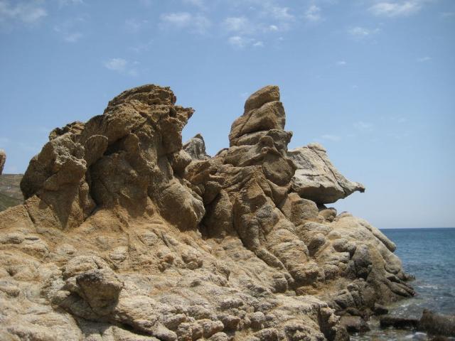 IMG_7037.JPG