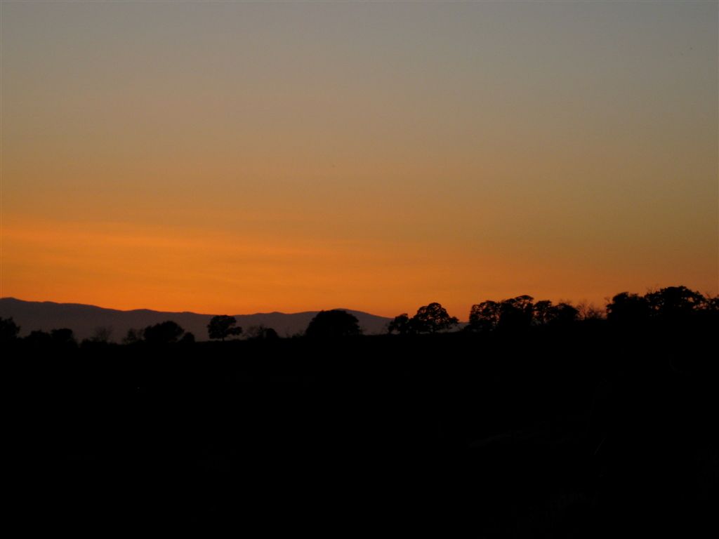 Nice colours