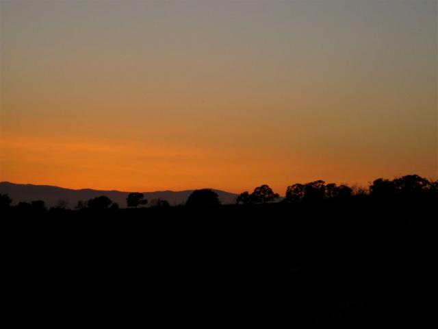 Nice colours