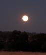 Full moon!