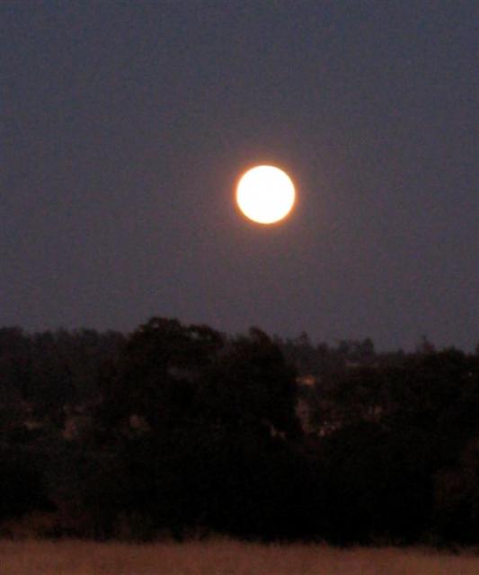 Full moon!