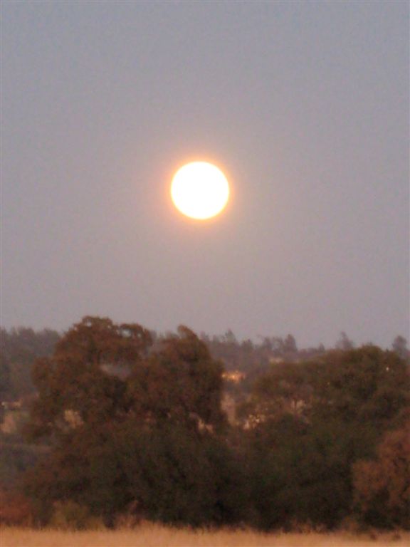 Looks like a small sun
