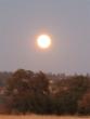 Looks like a small sun