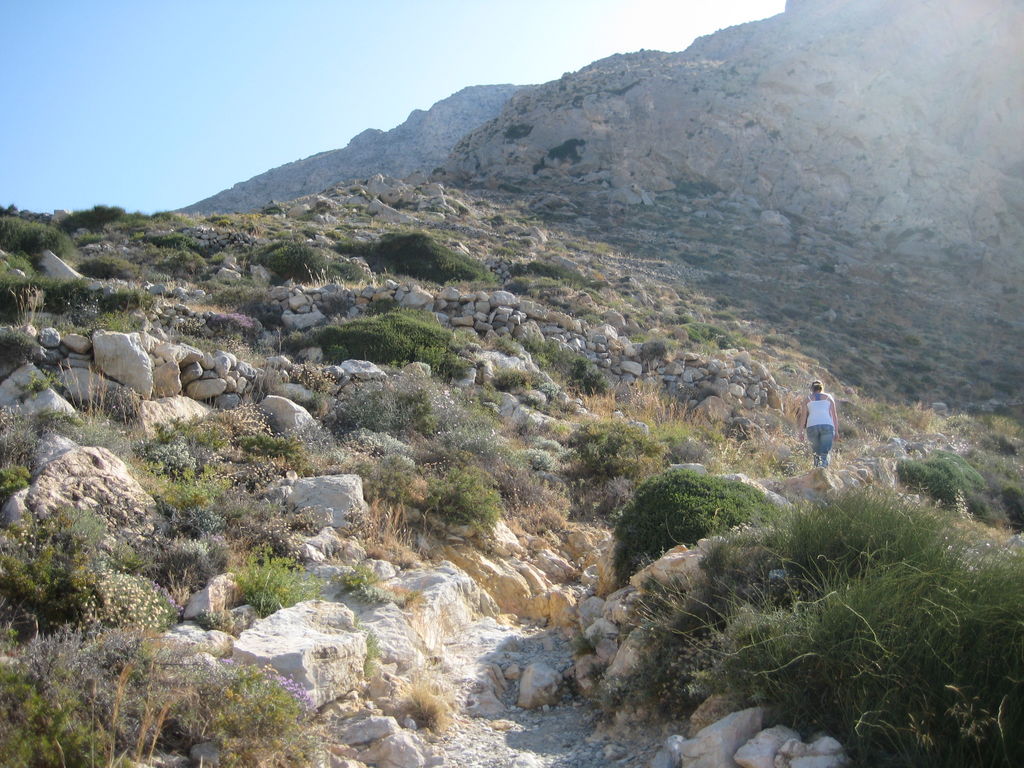 IMG_7427.JPG