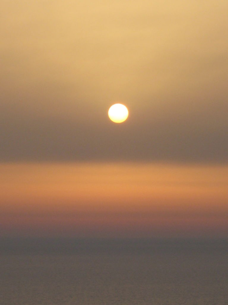 IMG_7650.JPG