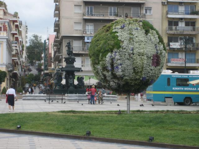 IMG_7893.JPG