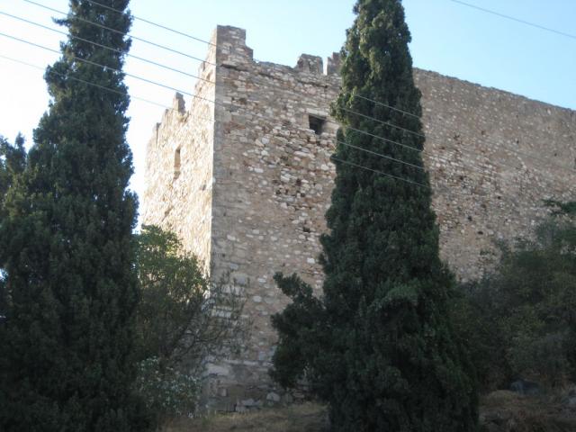 IMG_7908.JPG
