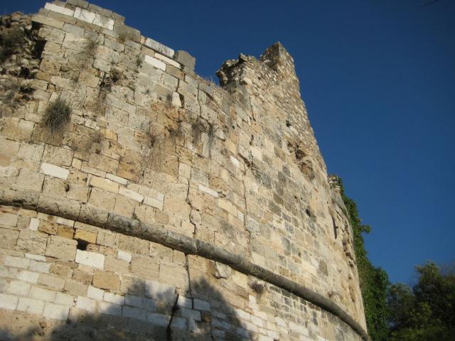 IMG_7913.JPG