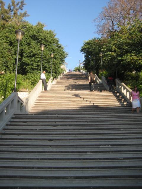 IMG_7915.JPG