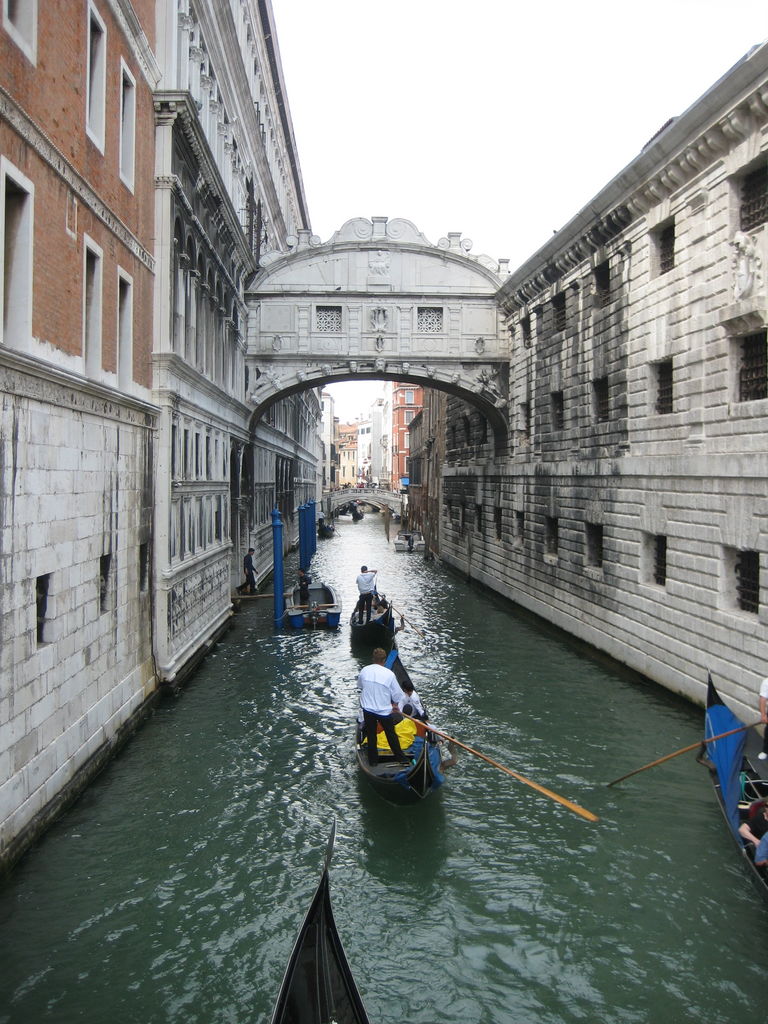 IMG_8118.JPG