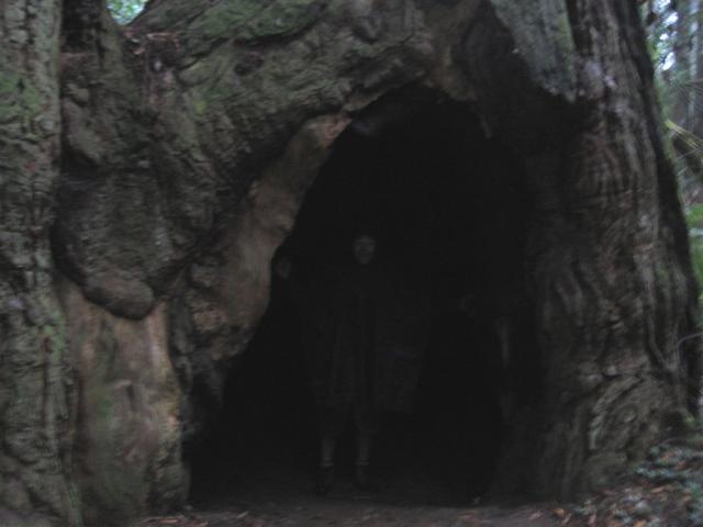 Kinda dark in there
