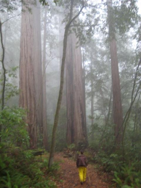 Hiking back up